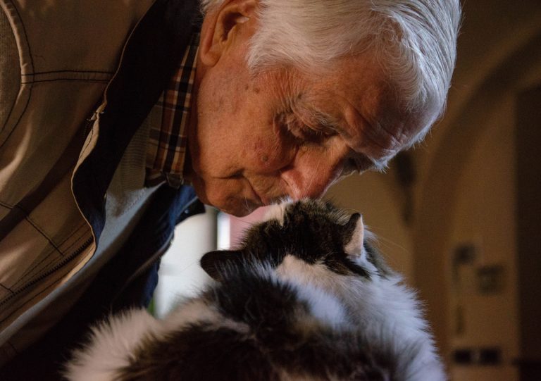 senior and cat playing